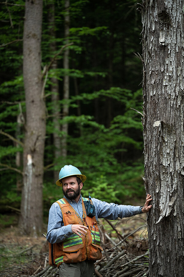 Analog Forestry Resources