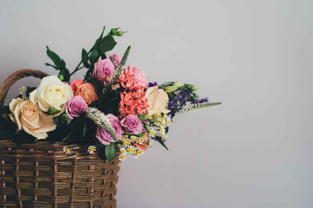 Flower Shop Mosman: Local Florist for Elegant Creations