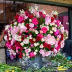 Flowers Neutral Bay: Fresh Picks for Your Special Moments