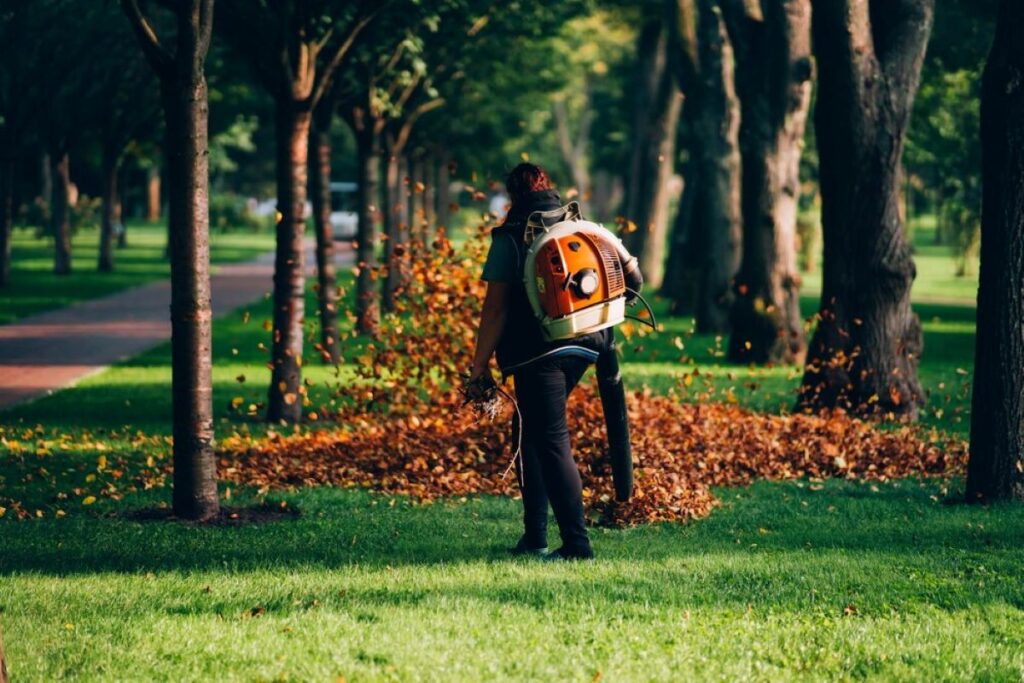 tree services sydney