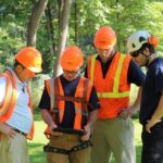 Key Considerations When Hiring Tree Removal in North Shore
