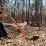 Stump Removal Sydney: What’s the Best Time of Year to Do It?