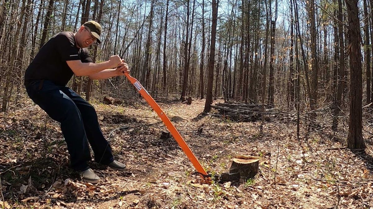 Stump Removal Sydney