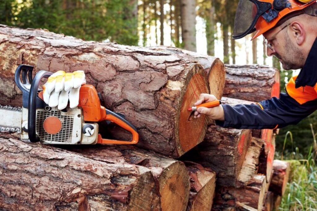 Stump Removal Sydney