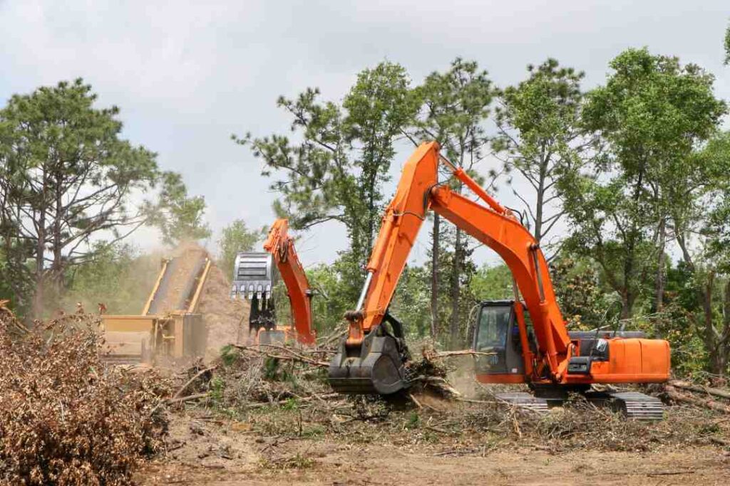 stump grinding Sydney