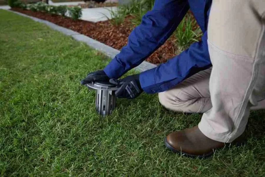 termite treatment sydney