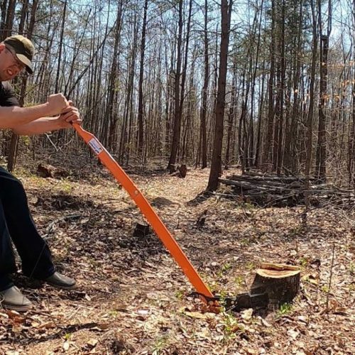 Stump Removal Sydney: What’s the Best Time of Year to Do It?