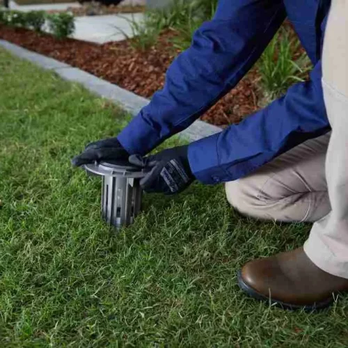 termite treatment sydney